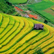 Lao Cai- Sapa - Village